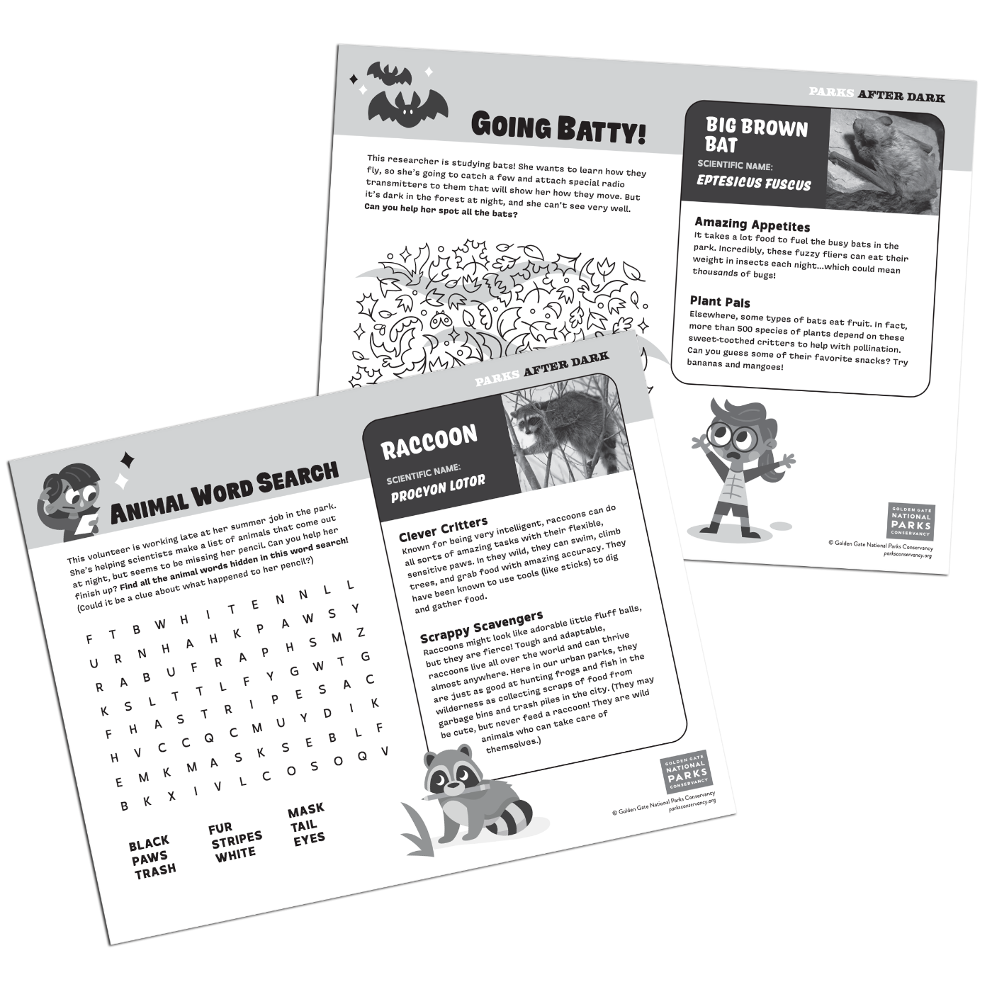 Pages from Parks After Dark Activity Book by Golden Gate National Parks Conservancy